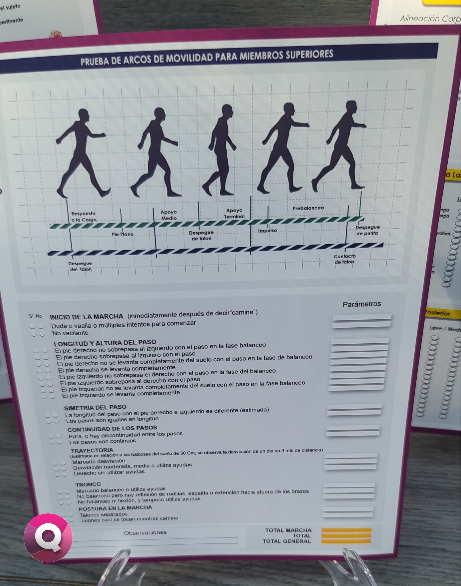Historia Clínica Fisioterapia