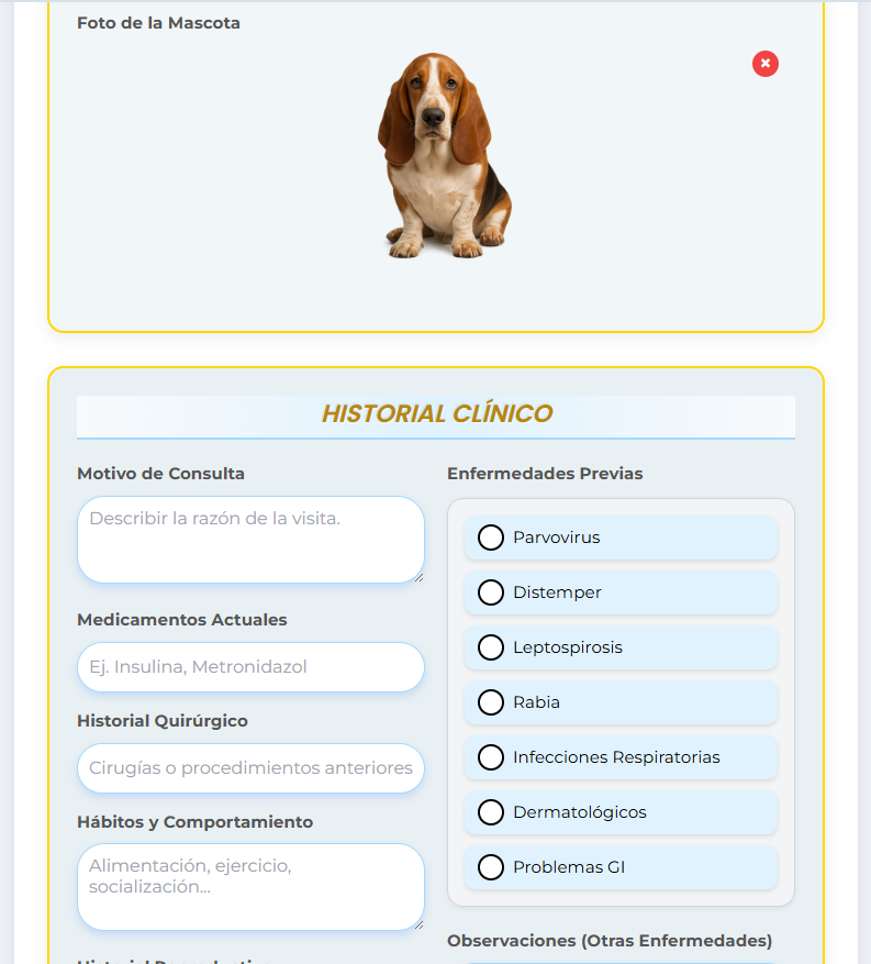 VeterinariApp
