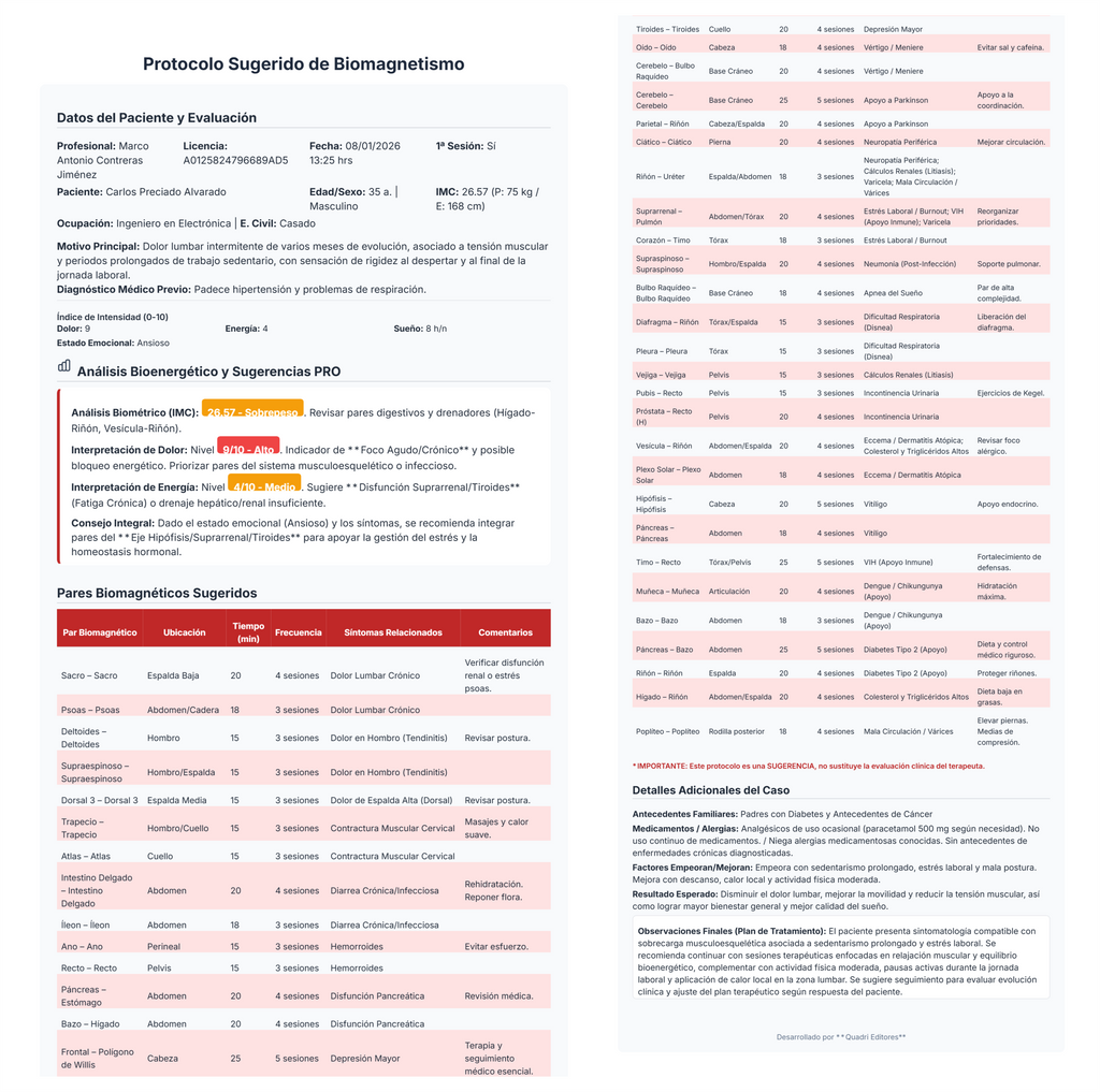 MagnetoPlan PRO
